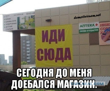 Боги маркетинга