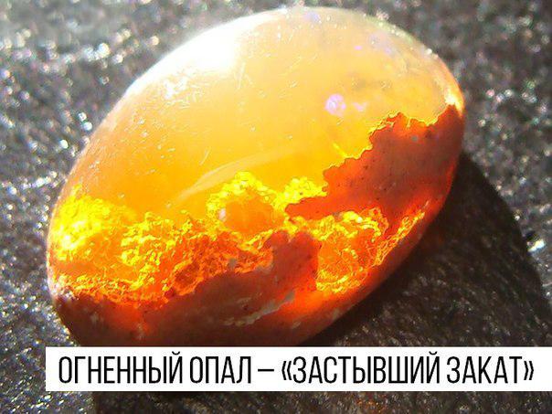 Интересные и веселые картинки