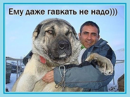 Убивать буду