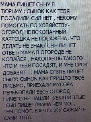 Абсурдный юмор