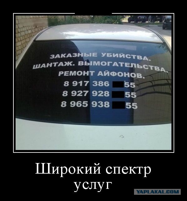 Демотиваторы