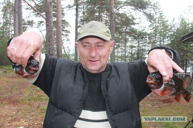 Рыбалка на Белом море