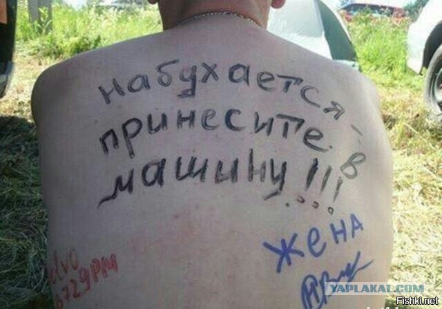 Прикольные и веселые картинки