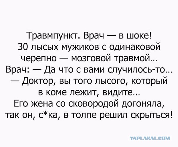 Весёлые и прикольные картинки