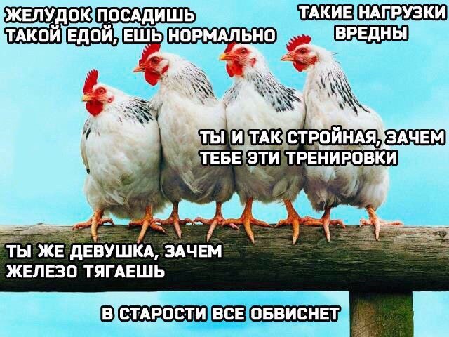 19 высказываний от профессионалов похудения
