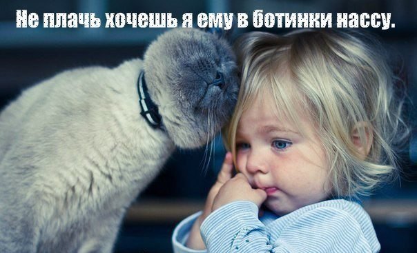 Немного картинок