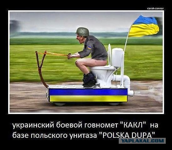 Иловайский котёл: кто виноват в сокрушительном поражении Украины в Донбассе