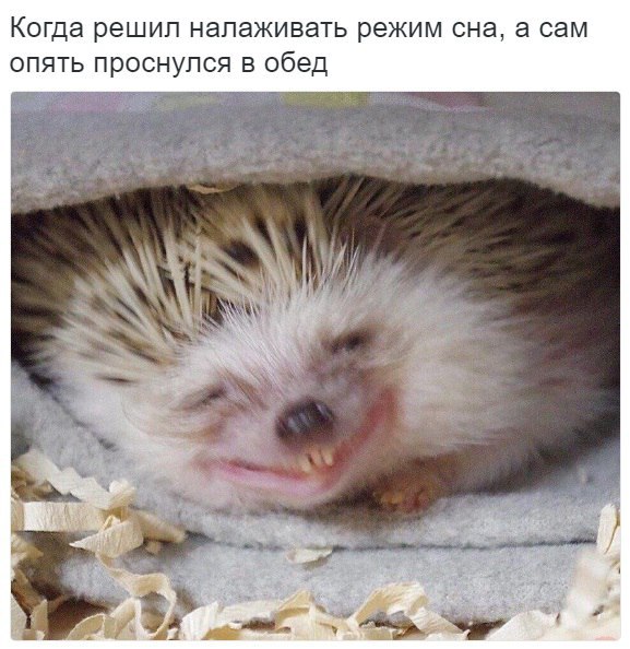 Субботняя деградация