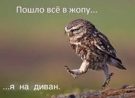 Атмосфера праздника :(