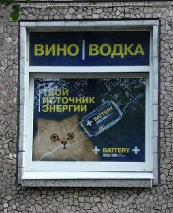 Вот как надо зарабатывать!