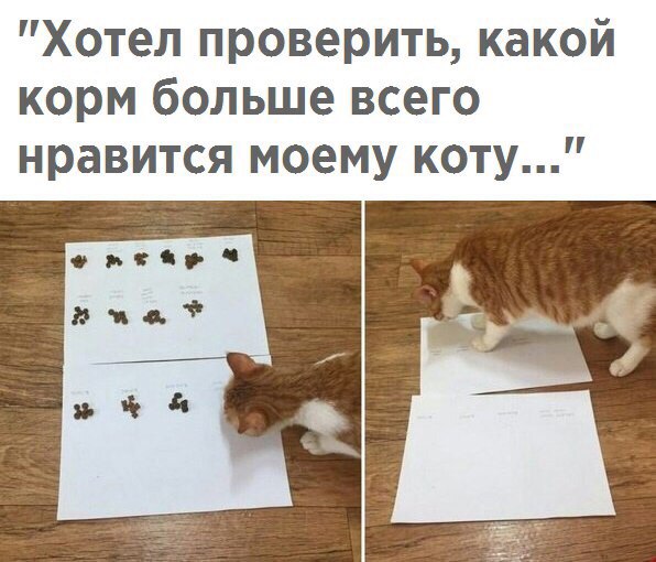 Воскресной ерунды 6 картинок
