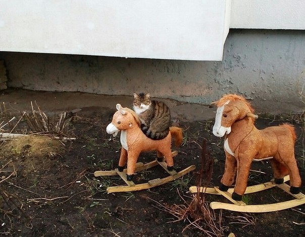 Чудики из социальных сетей