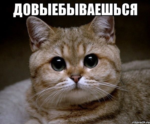 Итоги проверки пользователей