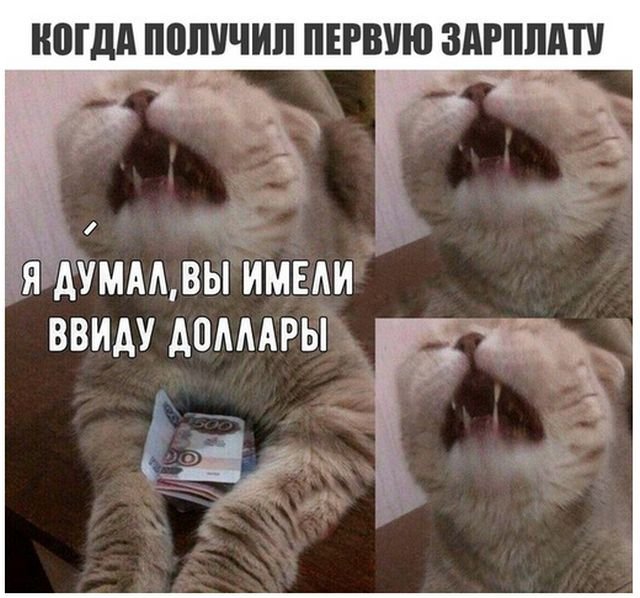 Прикольные картинки обо всем