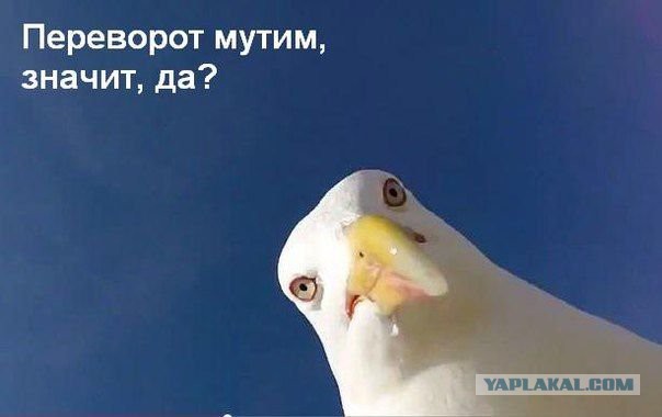 60 рублей за каждое посещение пассажирами новых туалетов на 25 станциях московского метро будет получать Игорь Чайка
