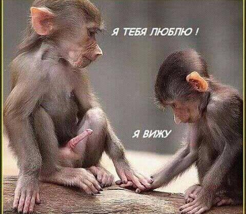 Специфический юмор