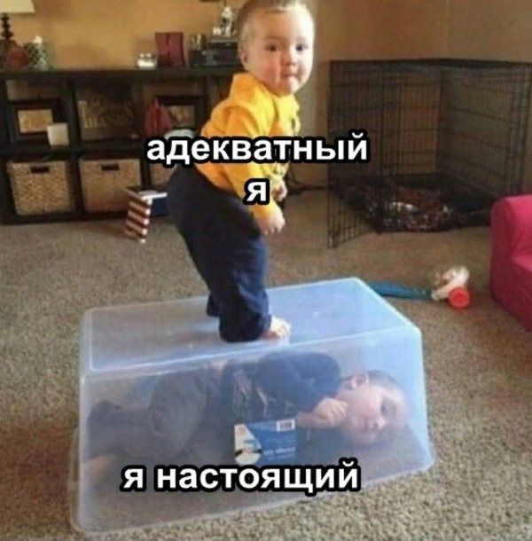 Нестандартный юмор