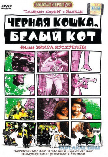 Коты и кошки, которые идеально смотрятся вместе