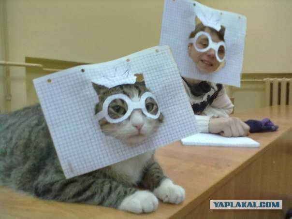 Котовторник ( 23.10. 2012. )