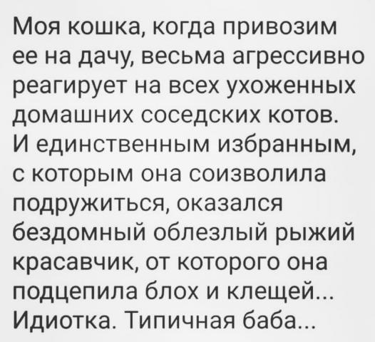Веселые картинки