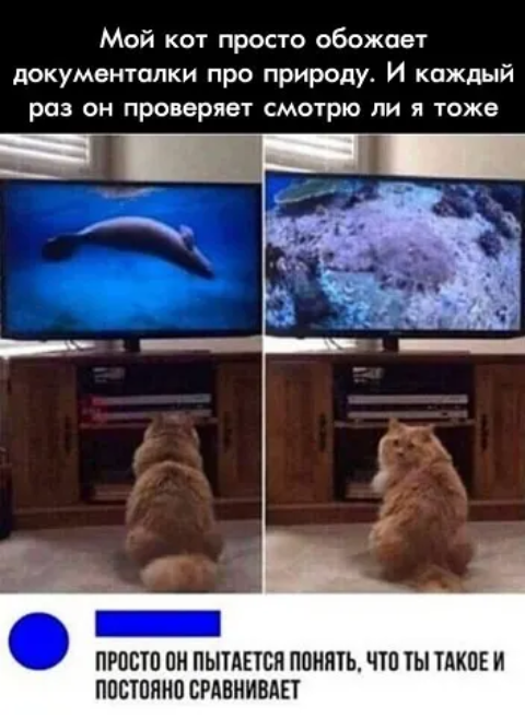 Солянка картинок из интернета