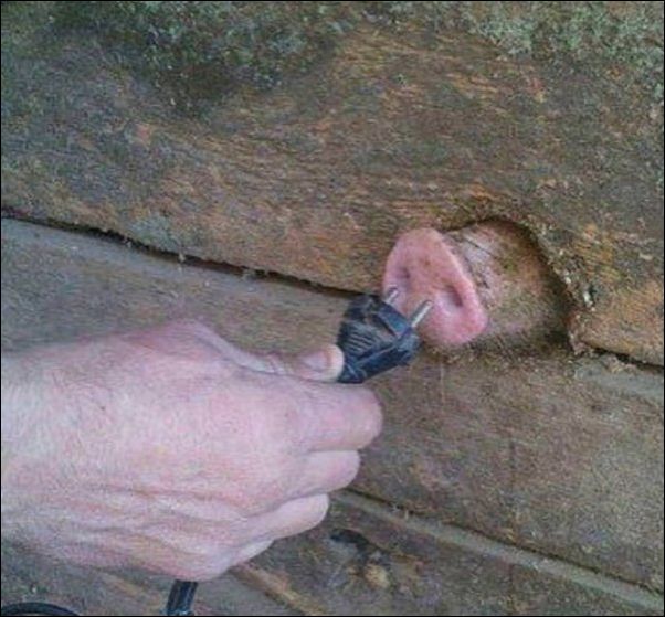 И всё-таки она наша. Лента картинок