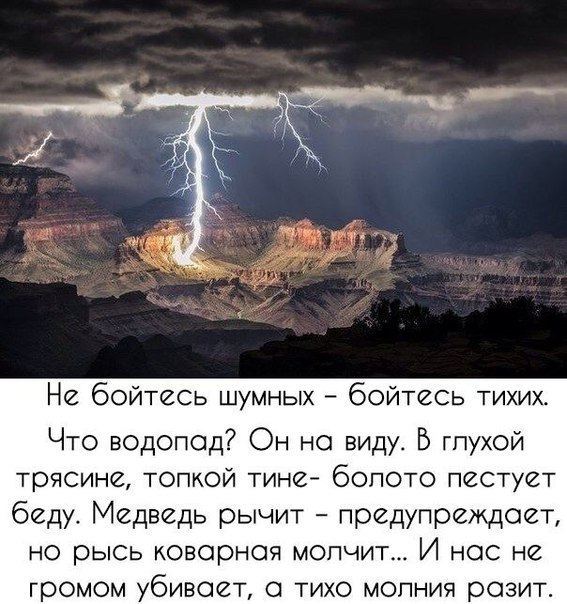 Чуток картинок 09.06.19