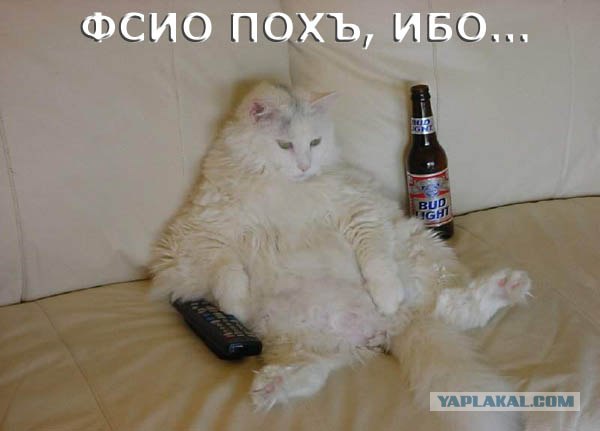 Первая ПЯТНИЦА июля! 04.07.08 - 13 фот