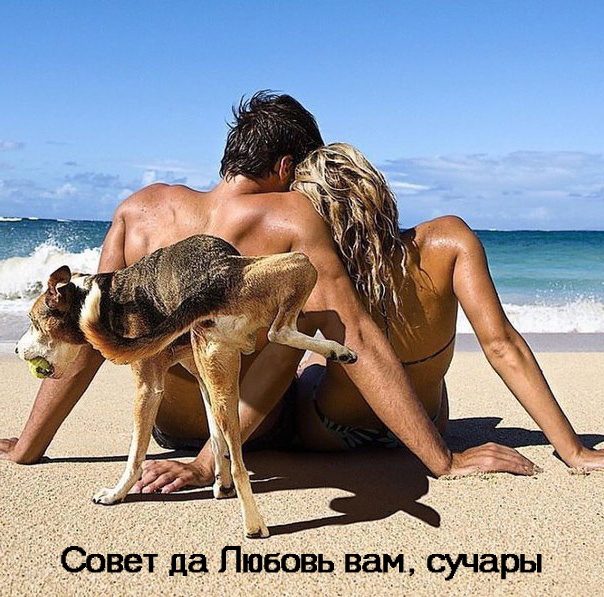 Попутного ветра