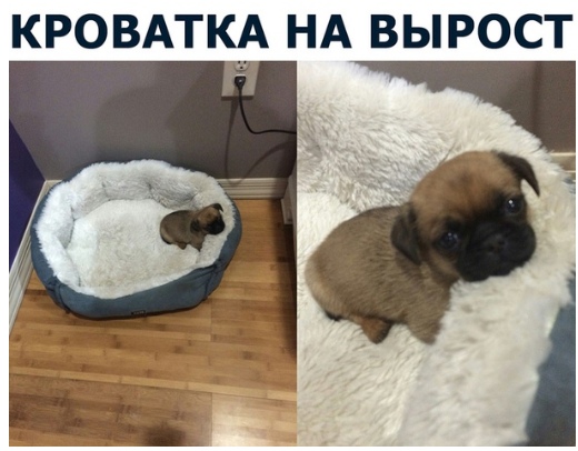 Немного картинок для настроения 18.01.20