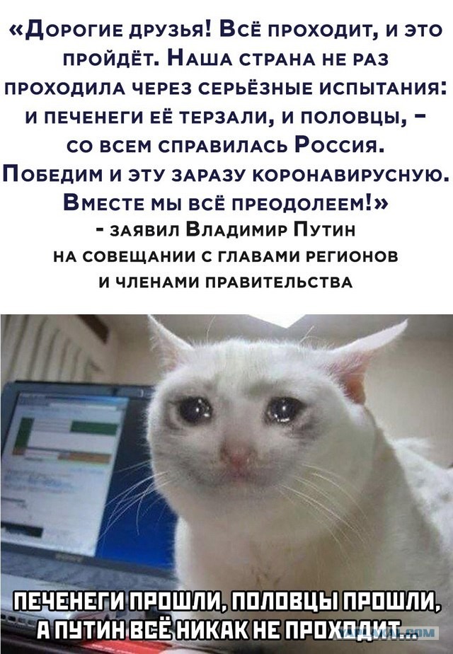 Пиар во время чумы: Кремль заставит Малышеву и Соловьева еще больше родину любить