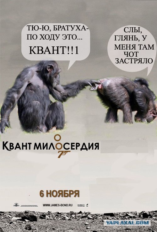 Квант попадания