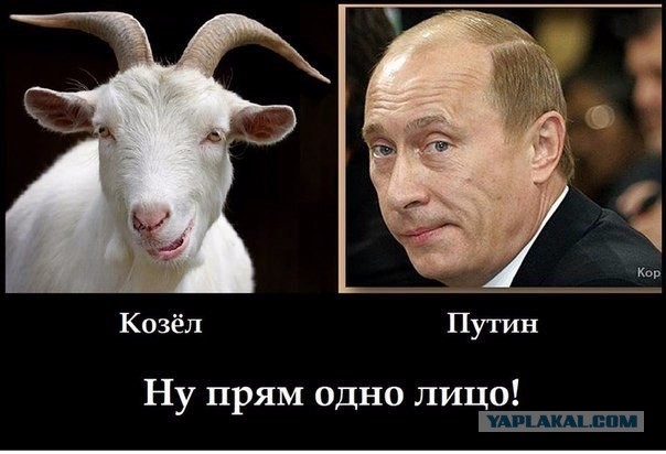 Путин заявил, что Россия заинтересована в притоке мигрантов