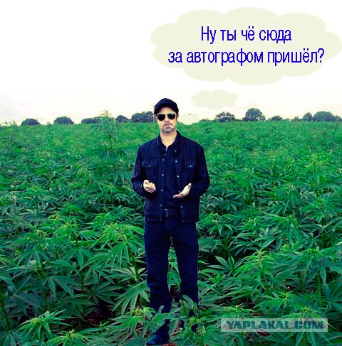 Фотожаба: Брэд Питт и дилер