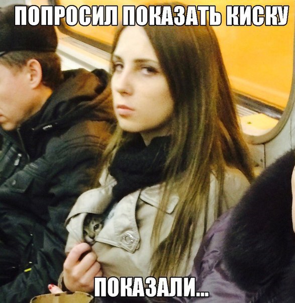 Подборочка девушек с котиками. Немного эротики 16+