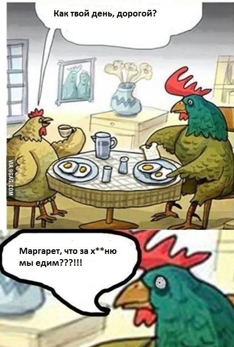 Почему я никогда не отправлю своих детей в летний лагерь