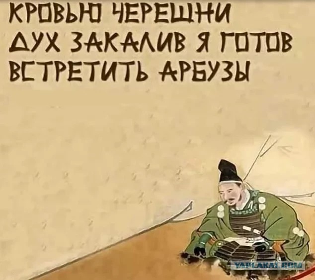 Весёлый полтишок 5.08.21