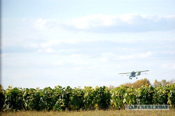 Осень в банках
