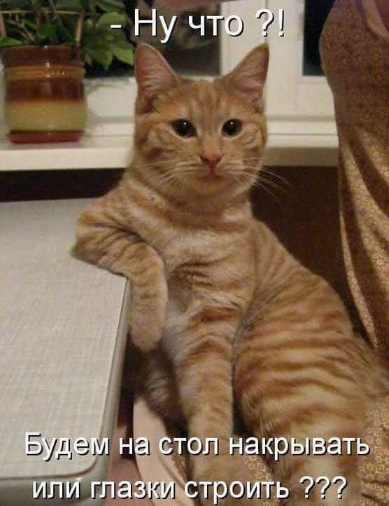 Всяческие картинки