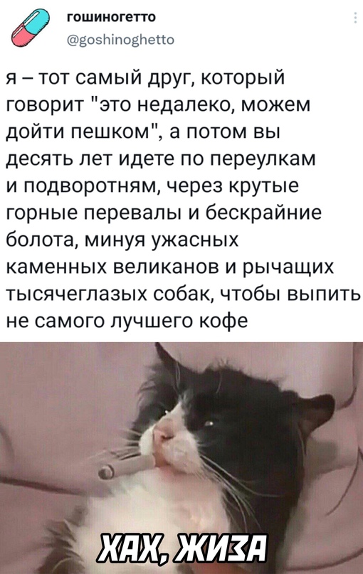 Весёлый полтишок 22.10