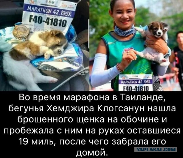 Чуток картинок 09.12.21