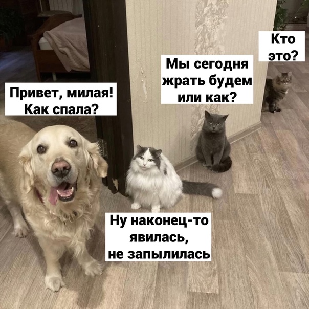Один шаг и она начнется