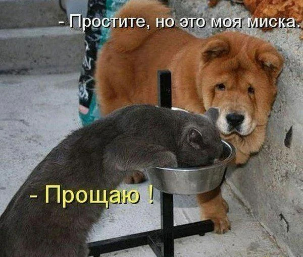 Немного картинок и прочей хреноты Vol. 2