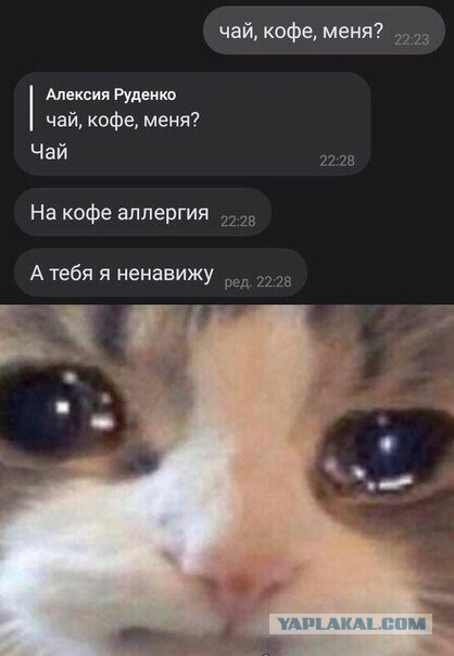 Картинки с надписями и всякие жизненные фразы
