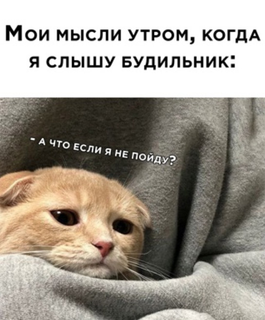 Улыбнись, не грусти!