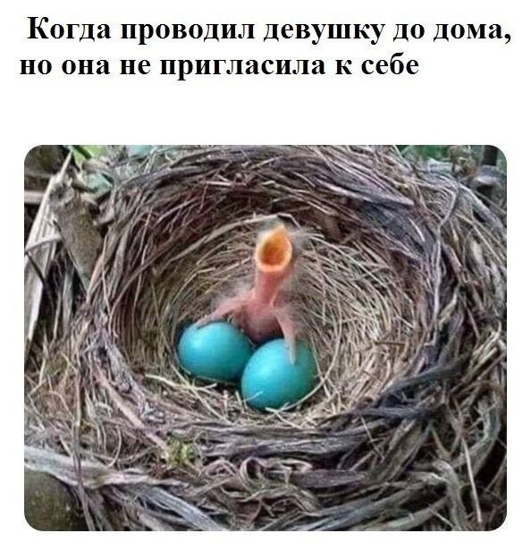 Так себе картинки 12.04.22