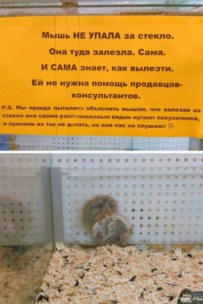 Так себе картинки 17.04.22