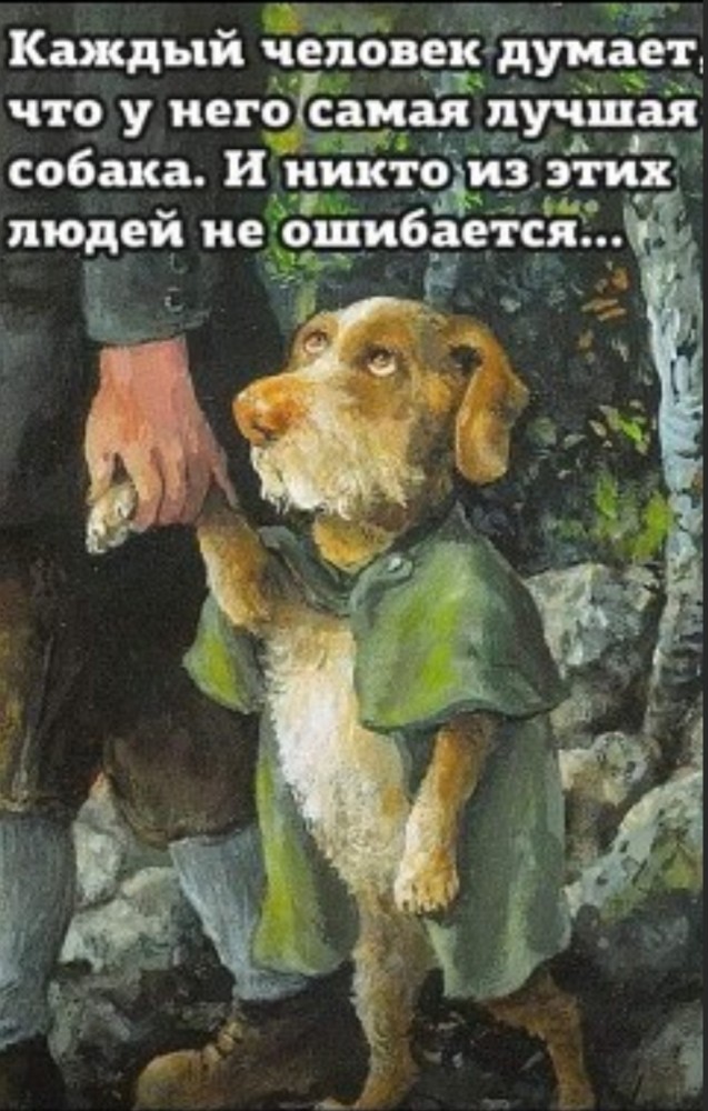 Так себе картинки 07.08.22