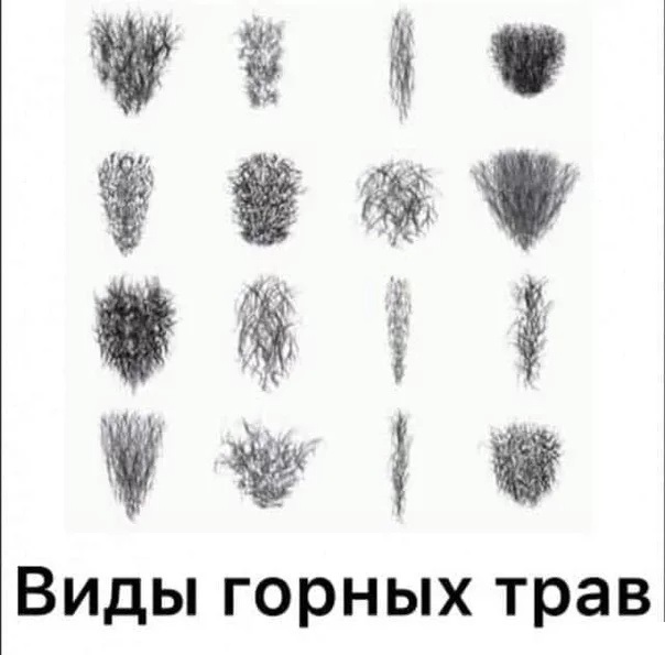 Пахоть