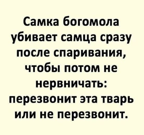 Немного картинок для настроения - 129